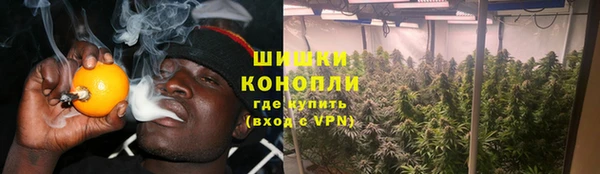 молекула духа Касимов