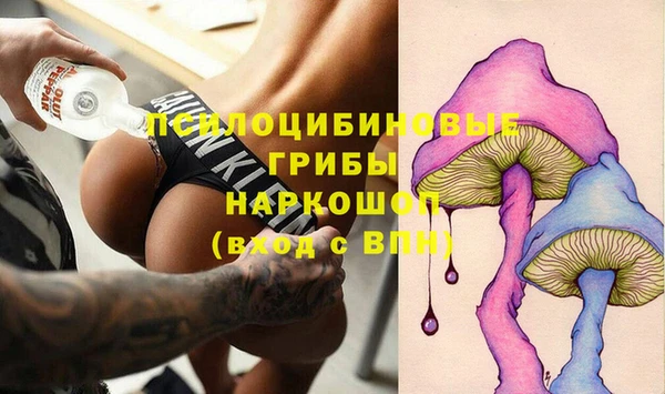 молекула духа Касимов