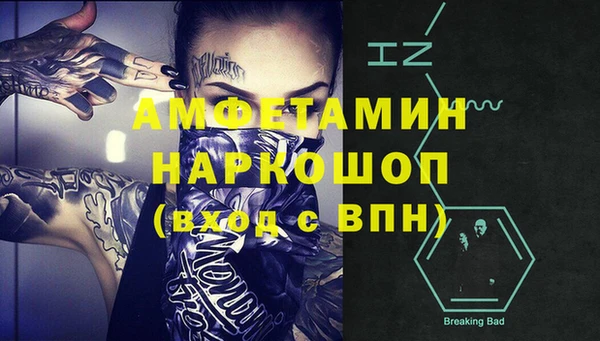 прущие грибы Каменногорск