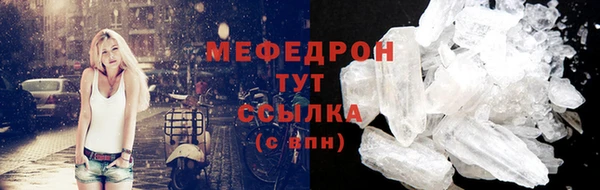 прущие грибы Каменногорск