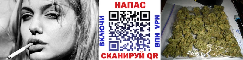 Купить где Заводоуковск Бошки марихуана марихуана